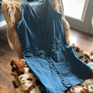 Blue Denim Button-Down Dress